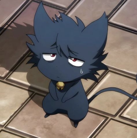 servamp Kuro Cat, Servamp Kuro, Kuro Servamp, Sleepy Ash, Cartoon Character Pictures, Anime Drawings Boy, I Love Anime, Funny Anime Pics, Anime Kawaii