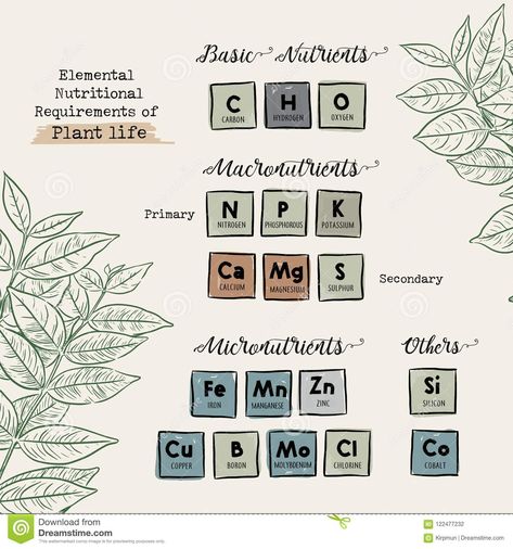 Guide Of Macronutrients And Micronutrients For Plants Vector. Stock Vector - Illustration of natural, elemental: 122477232 Oxygen Plant, Biological Science, Plants Vector, Macro Calculator, Pod Design, Plant Vector, Liquid Fertilizer, Ideal Body, Hand Draw