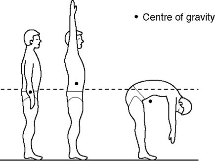 A kettlebell’s center of mass is about 6 to 8 inches from the handle, and that changes depending on the exercise. Understanding this can be an advantage. Center Of Gravity Drawing, Fitness Components, Normal Force, Drawing Help, Exercise Physiology, Acting Class, Kettlebell Training, Heavy And Light, Center Of Gravity