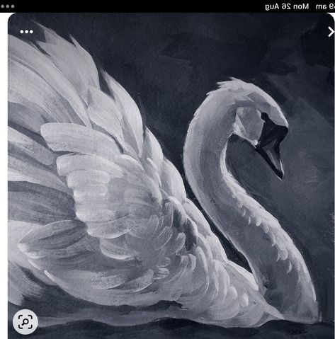 Black And White Swan Painting, Black And White Paintings Acrylic, Aesthetic Black And White Painting, Swan Painting Acrylic, Black And White Painting Acrylic, Black Swan Painting, Swan Paintings, Acrylic Painting Black And White, Black And White Acrylic Painting