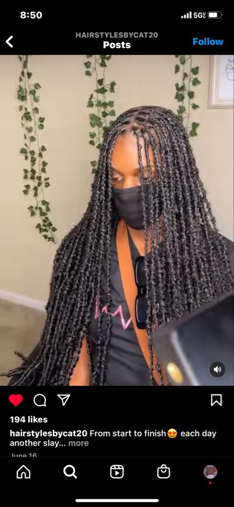 Butterfly Locs Small Size, Triangle Part Butterfly Locs, Mini Butterfly Locs, Butterfly Dreadlocks, Small Butterfly Locs, Butterfly Locs, Hairstyle Inspo, Life Hacks For School, Braid Hairstyles