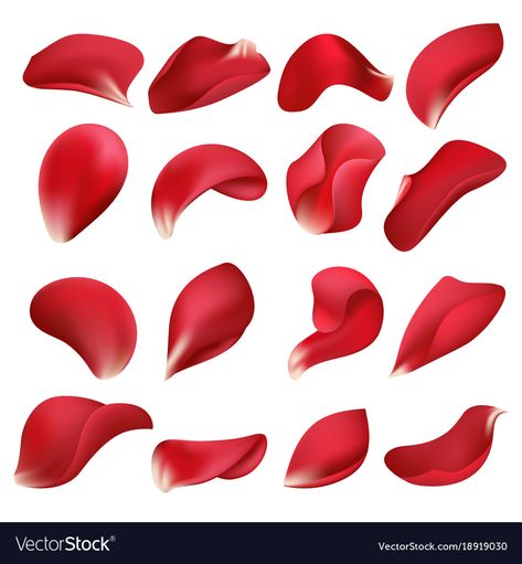 Rose Petals Drawing, Flower Petal Art, Drawing Room Interior Design, Drawing Tutorials For Beginners, Red Rose Petals, Red Petals, Red Rose Flower, Roses Drawing, Small Drawings