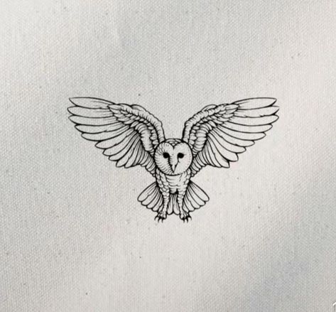 Bard Owl Tattoos, Owl Tattoo Harry Potter, Tawny Owl Tattoo, Greek Owl Tattoo, Deftones Owl Tattoo, Owl Sketch Simple, Owl Sternum Tattoo, Fine Line Owl Tattoo, Flying Owl Tattoo