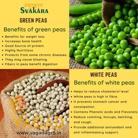 Green peas and white peas are both varieties of peas, which are a type of legume. The main difference between green peas and white peas is their appearance and taste. Green Peas Benefits, Peas Mushrooms Recipe, Green Peas Masala Recipe, Mushy Peas From Frozen Peas, Peas Nutrition Facts, Crowder Peas, Reduce Cholesterol, Good Sources Of Protein, Cholesterol Levels