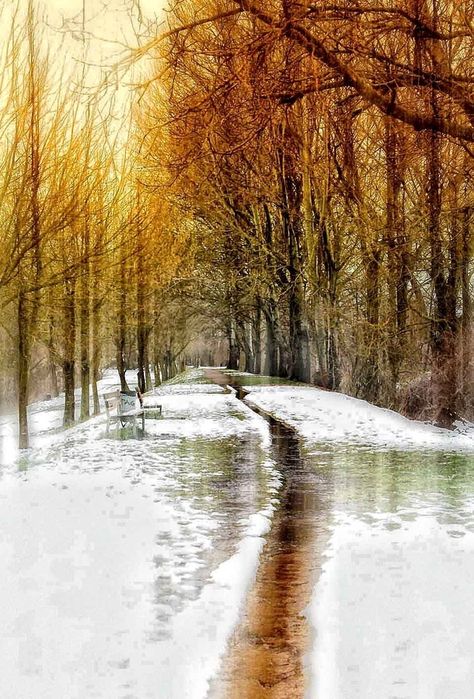 Walking Through The Autumn Snow Snow Melt, Melting Snow, Snow Melting, The Road Less Traveled, Road Less Traveled, Seasons Winter, Snow Ice, Winter Beauty, Snow And Ice