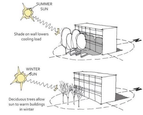 Site Response Architecture, Noise Architecture Diagram, Wind Diagram Architecture, Microclimate Diagram, Passive House Architecture, Climate Analysis Architecture Diagram, Sun Orientation Architecture Diagram, Sustainable Architecture Diagram, Sustainable Architecture Concept