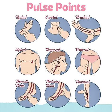 🧠Pulse Points refer to specific locations on the body where an artery runs close to the surface, allowing the pulse to be felt. These points are crucial in clinical practice for assessing heart rate, rhythm, and circulation: 1️⃣ Radial Pulse: Located on the wrist, just below the thumb. It is the most commonly used site for checking the pulse. 2️⃣ Carotid Pulse: Found on either side of the neck, alongside the trachea. It’s often used in emergencies because it is easily accessible and provi... Body Pulse Points, Exam Encouragement, Slow Heart Rate, Heart Circulation, Nurse Study Notes, Lower Limb, Medical School Studying, Cute Black Wallpaper, Nursing Tips