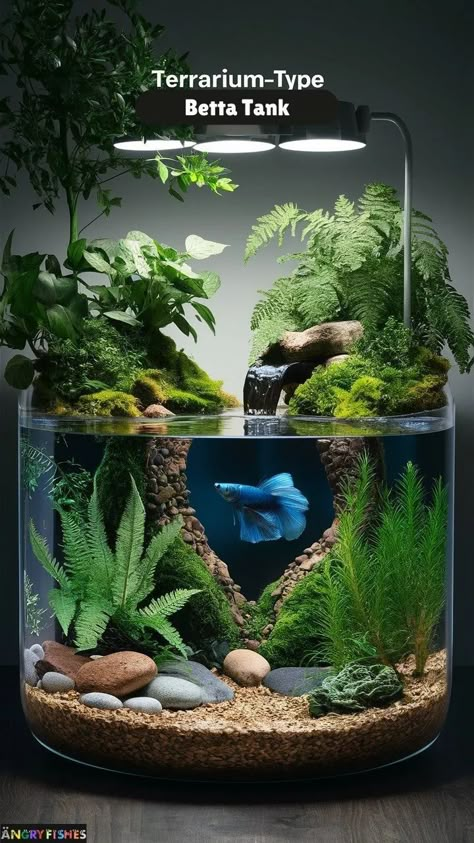 Beta Fish Aquascape, Beta Aquarium Ideas, Fish Tank Themes Ideas Creative, Fish Tank Themes Ideas Aquarium, Unique Fish Tank Ideas, Beta Tank Ideas, 5 Gallon Fish Tank Ideas, Fish Tank Themes Creative, Natural Fish Tank Ideas