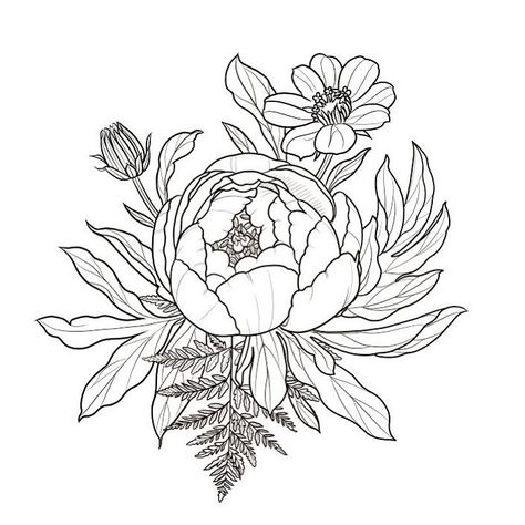 Peony And Cosmos Tattoo, Fern Peony Tattoo, Peony And Fern Tattoo, Cosmos Tattoo, Fern Tattoo, Chocolate Cosmos, Tattoo Themes, Peonies Tattoo, White Peonies