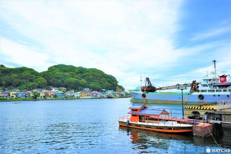 Yokosuka - 7 Places To Visit In The Vibrant Port City South Of Tokyo Jungkook Cap, Tokyo Japan Travel Guide, Curry Restaurant, Yokosuka Japan, Matcha Japan, Flower Park, Kanagawa Japan, Tokyo Japan Travel, Japan Travel Guide