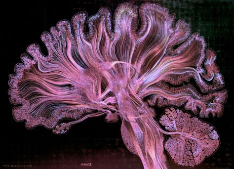 Neuroscience Art, Science Images, Human Organ, Brain Scan, Brain Art, Bio Art, Colossal Art, Microscopes, Medical Art