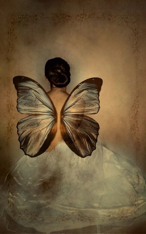 Butterfly woman Woman Butterfly Art, Butterfly Woman Art, Woman With Butterfly Wings, Woman Butterfly, Butterfly Photo, Cute Christmas Wallpaper, Feminine Art, October 20, Flower Phone Wallpaper