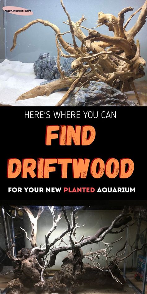 Do you want to bring nature to your home? In this article you'll learn where to find beautiful driftwood pieces for your house decor or aquarium. Aquascaping Ideas, Freshwater Plants, Fish Tank Stand, Saltwater Fish Tanks, Fish Tank Design, Aquascape Design, Aquarium Driftwood, Reptile Tank, Aquarium Setup