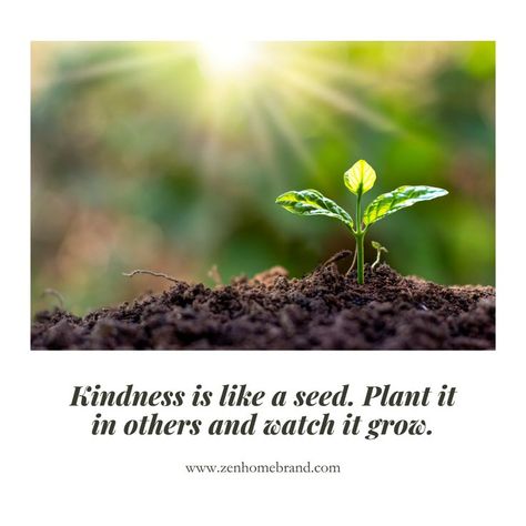 Seeds Of Kindness, Garden Of Flowers, Sowing Seeds, Eastern Star, Love And Compassion, Love And Kindness, Act Of Kindness, Spread Kindness, Full Of Love