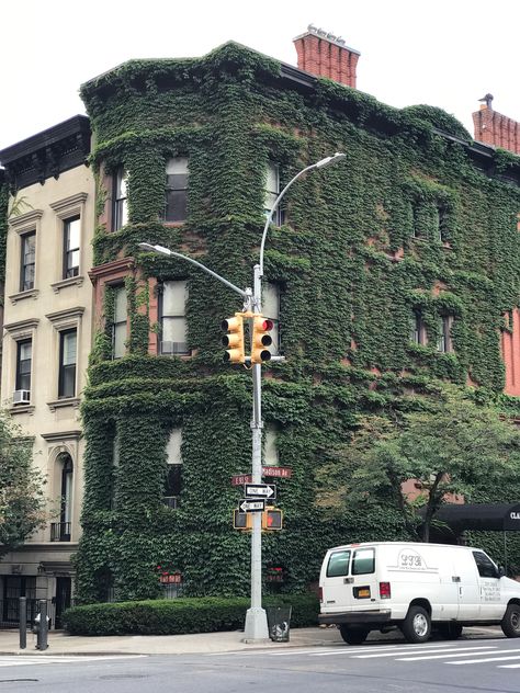 Ivy Covered House Aesthetic, Ivy Covered House, Caitlin Mcgauley, Tiger Flower, Nyc Pics, Townhouse Exterior, Ivy Wall, Nyc Guide, Exterior Facade