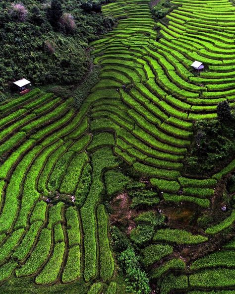 Amazing Thailand on Instagram: “Dubbed as Thailand's roof for its height, Doi Inthanon National Park in Chiang Mai, covering a massive area of almost 500 square…” Doi Inthanon National Park, Laos Vietnam, Leave No Trace, Chiang Mai, Landscape Photos, Travel Blogger, City Photo, Limited Time, National Park