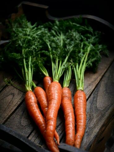 Carrots Photography, Carrot Photography, Carrot Oil For Hair, Antioxidants Benefits, Fruit Collage, Colorful Carrots, Carrot Benefits, Carrot Oil, Carrot Vegetable