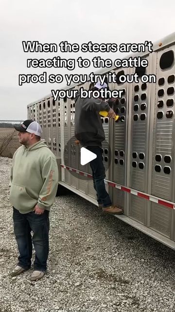 trailernick on Instagram: "I guess it was working #wilson #livestock #cattle #steers #livestocktrailer #farmer #farming #farmlife #countrylife #cattleprod #shocking" Cattle Trailers, Getting Older Humor, Farm Humor, Livestock Trailers, Livestock Farming, Funny Thoughts, Seriously Funny, Funny Films, Cute Funny Dogs