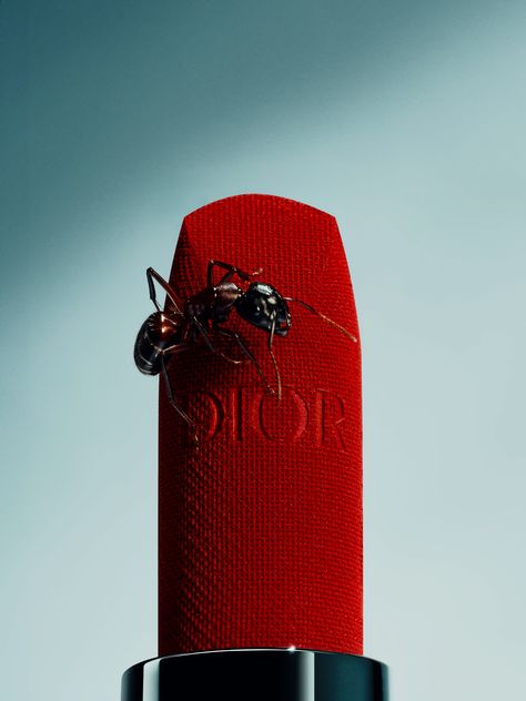 insect on lipstick for editorial product photography Lipstick Editorial, Lipstick Product Photography, Dior Photography, Lipstick Photography, Product Photographer, Dior Logo, Composition Design, Flash Photography, Red Lipstick