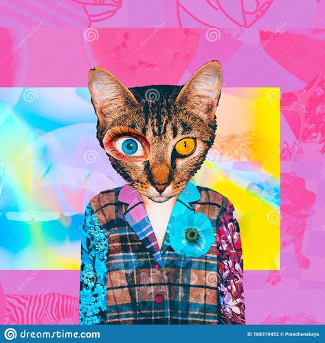 Collage Cat, Cat Magazine, Cat Collage, Collage Art Projects, Magazine Collage, Collage Illustration, Retro Cats, Middle School Art, Featured Art