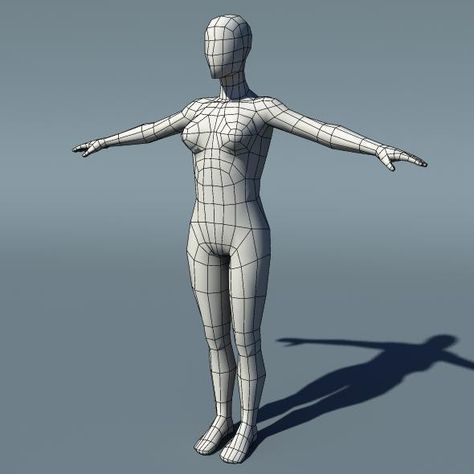 Female Character Base, Female Base, Character Base, Body Anatomy, Female Human, Female Character, Human Anatomy, 3d Illustration, Low Poly