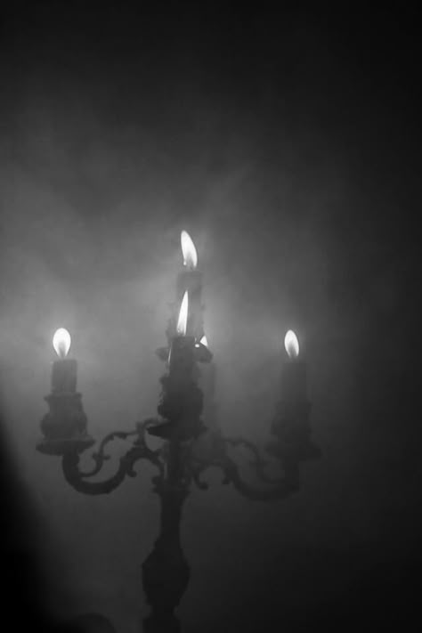 Chroniken des Blutes und Absinth Dark Castle, Vampire Aesthetic, Slytherin Aesthetic, Dark Paradise, Gothic Aesthetic, Witch Aesthetic, Goth Aesthetic, Dark Gothic, Dark Places