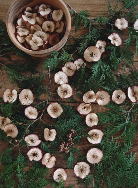 Learn how to make a dried apple garland that is perfect for a fall mantel, and looks good with Christmas greenery too! #driedapples #homedecor Dried Apple Garland, Fall Garland Diy, Primitive Christmas Trees, Diy Fall Garland, Natural Christmas Ornaments, Apple Garland, Christmas With The Kranks, Apple Christmas, Natural Ornaments