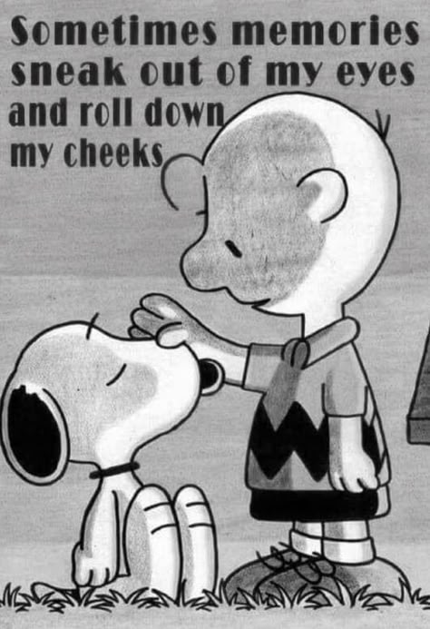 Sympathy Quotes, Snoopy Quotes, Snoopy Love, Charlie Brown And Snoopy, Memories Quotes, Lesson Quotes, Life Lesson Quotes, Quotable Quotes, Wise Quotes