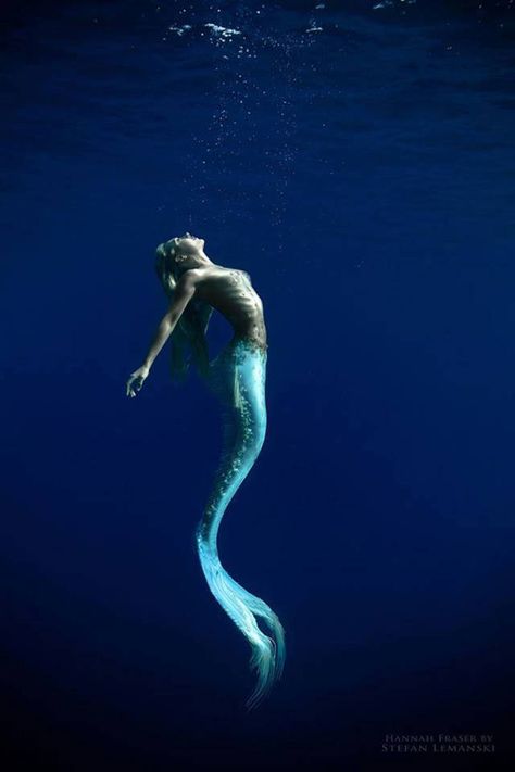 Being a professional mermaid is an actual job and we want to change careers, beach lifestyle water ocean Real Life Mermaids, Professional Mermaid, Mermaid Photography, Fantasy Mermaids, Mermaid Photos, Siren Mermaid, Mermaid Swimming, Real Mermaids, Mermaid Pictures