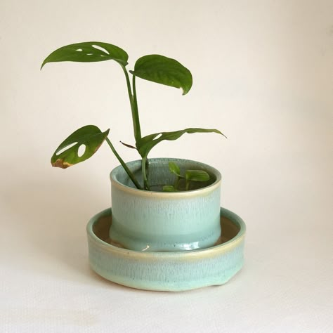 Small Ceramic Planter, 2.5 X 2.5 handmade Ceramic, Wheel Thrown, 1 Drainage Hole, Attached Base Plate, Bottom Watering, 12 Colors - Etsy Cute Ceramic Planters, Ceramic Plant Pots Diy, Pottery Wheel Planter, Flower Pots Ceramic, Small Wheel Thrown Pottery, Ceramic Watering Pot, Ceramic Plate Decoration, Ceramics Wheel Thrown, Handmade Plant Pot