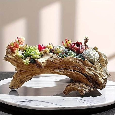 Type:Decorative Objects; Listing Date:09/21/2023 Driftwood Planters, Log Planter, Home Decor Sculptures, Succulent Garden Diy, Garden Vases, Garden Pottery, Porto Rico, Deco Floral, Palau