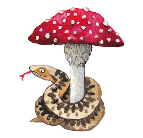 "Snake and Mushroom" by aimee-lockwood | Redbubble Snake And Mushroom Tattoo, Mushroom Snake, Coloring Wall, Mushroom Cute, Colouring Wall, Fly Agaric Mushroom, Chest Ideas, Mushroom Tattoos, Forearm Sleeve