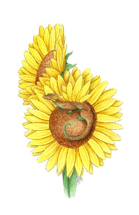 Dragon And Sunflower Tattoo, Flower Dragon, Sunflower Images, Here Be Dragons, Ink Artwork, Sunflower Art, Card And Envelope, Annual Flowers, Sunflower Tattoo