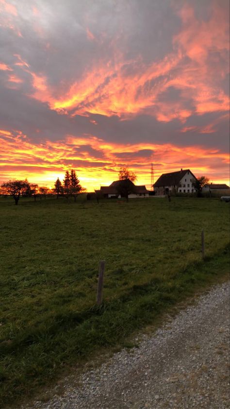 Rural yellow orange germany aesthetic trees Rural Texas Aesthetic, Farm Land Aesthetic, Rural America Aesthetic, Nebraska Aesthetic, Rural Germany, Transcendent Kingdom, Rural Aesthetic, Oregon Aesthetic, Aesthetic Trees