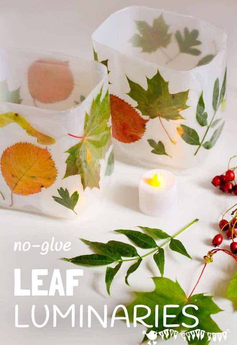 Leaf Luminaries, Luminaries Diy, Cheap Fall Crafts For Kids, Luminary Diy, Lantern Crafts, Diy Leaf, Autumn Leaves Craft, Leaf Projects, Lantern Craft