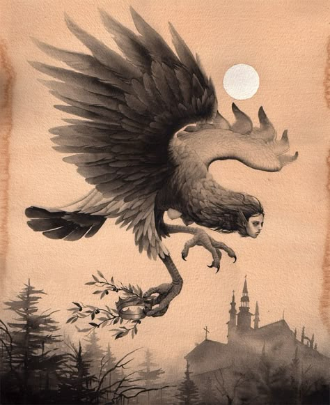 Навьи? Harpy Monster Art, Harpies Tattoo, Harpy Mythology Art, Harpie Lady Tattoo, Harpy Concept Art, Harpy Anatomy, Harpies Art, Harpy Creature, Harpies Mythology