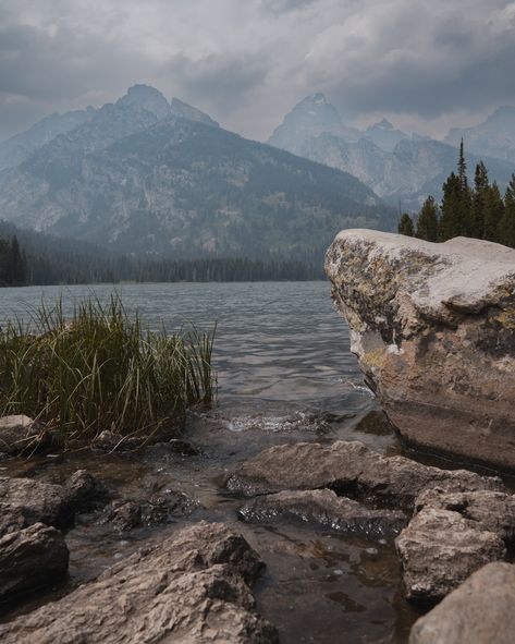 Tails from the Tetons: A Virtual Field Trip to Taggart Lake 📍Taggart Lake Loop 🥾3.8 Miles Round Trip ⏳1-2 Hours ⛰️423 Ft. Elevation gain 💪 Easy/Moderate 🔁 Loop trail 🤫 Many Humans after 8 am ⭐ 4.8/5 The Taggart Lake Loop is another popular trail at Grand Teton National Park. This hike offers stunning views of the Teton range and the option to see Bradley Lake. Here’s what you need to know: 👉 As always, start early. As one of the easier trails in the park, the parking lot fills up quickl... Taggart Lake, Virtual Field Trips, Round Trip, Parking Lot, Field Trip, Stunning View, The Park, National Park, National Parks