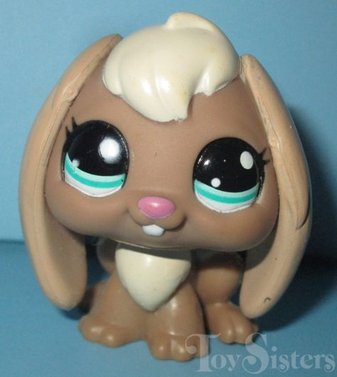 Lps Sets, Lps Popular, Custom Lps, 2010s Nostalgia, Lps Toys, Lps Pets, Little Pet Shop Toys, Lps Littlest Pet Shop, Old Cartoons