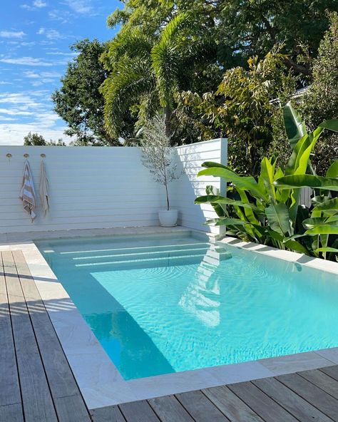 Hamptons Style Pool, Pool Goals, Brisbane Homes, Pool Gazebo, Dipping Pool, Small Backyards, Outdoor Pool Area, Modern Pool, Swimming Pool Landscaping