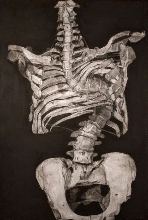 Lex Dakota, Decay Art, Human Skeleton, Human Anatomy Art, Painting Inspo, Arte Inspo, A Level Art, Ap Art, Creepy Art