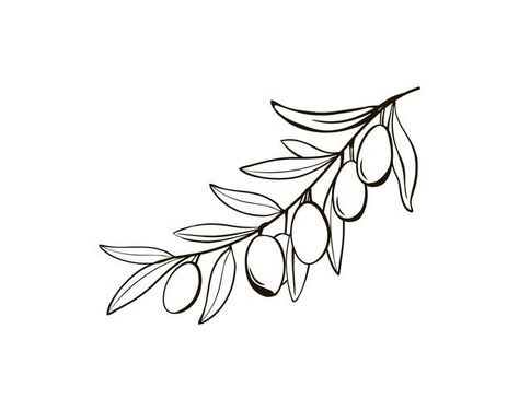 Tree Drawing Simple, Branch Drawing, Baby Crafts Diy, Monochrome Wallpaper, Tree Doodle, Small Doodle, Nature Motifs, Olive Branches, Black And White Sketches