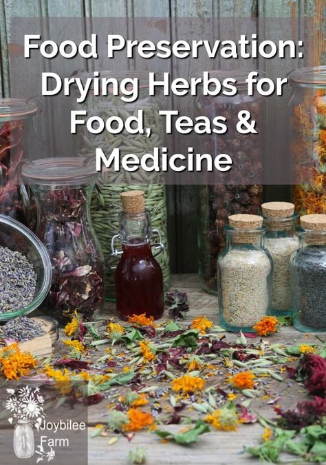 Your Guide to: Harvesting and drying leaves, Harvesting herbal seeds and Harvesting roots for medicine. #joybileefarm #diyfoodpreservation #foragingyourownherbs Drying Leaves, Herbs Medicine, Herbal Leaves, Medicine Garden, Farm Diy, Diy Herbal Remedies, Wild Herbs, Dry Herbs, Diy Herb Garden