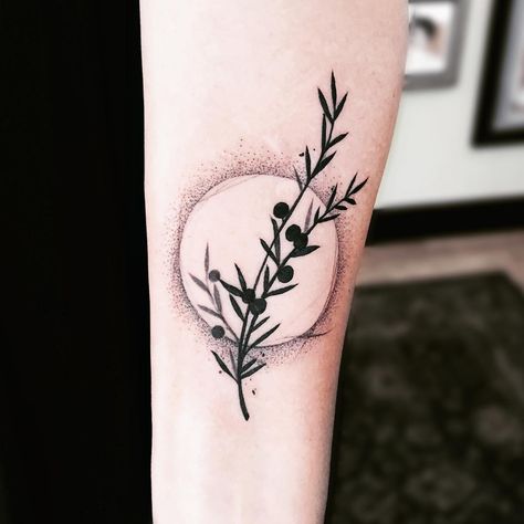 Juniper by Jessie Hopeless (Exile Tattoo) Kansas City. Juniper Tree Tattoo, Tattoo Flower Ideas, Exile Tattoo, Juniper Tattoo, Juniper Wreath, Juniper Branch, Botanisches Tattoo, Tattoos Feminine, Pagan Tattoo