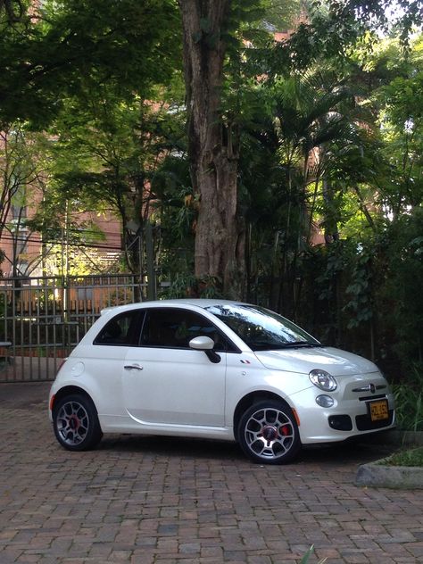 Fiat 500 Sport, Fiat 500l, Fiat 500, Cute Cars, Dream Car, Dream Cars, Vision Board, Bmw Car, Suv Car