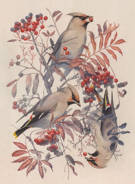 RSPB — teagan white Teagan White Illustration, Teagan White, Watercolour Birds, Acryla Gouache, Alevel Art, Composition Ideas, Leaves Painting, Autumn Leaves Art, Personal Investigation