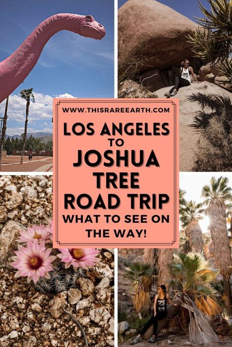 Joshua Tree Stargazing, Palm Springs Joshua Tree Itinerary, Hiking In Los Angeles, Best Hikes In Joshua Tree National Park, Joshua Tree Road Trip, Palm Springs Hiking, Los Angeles Road Trip, Joshua Tree Park, Camp America