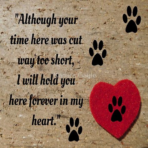 Miss My Dog, Dog Poems, Pet Sympathy Cards, Monday Inspiration, Forever In My Heart, Dog Heaven, Pet Remembrance, Heart Poster, Loss Of Dog