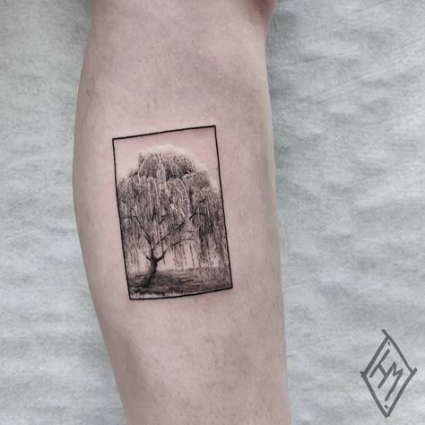 Weeping Willow Tattoo, Willow Tree Tattoos, Tattoo Process, Tree Tattoo Designs, Theme Tattoo, Delicate Tattoo, Dainty Tattoos, Dream Tattoos, Elegant Tattoos