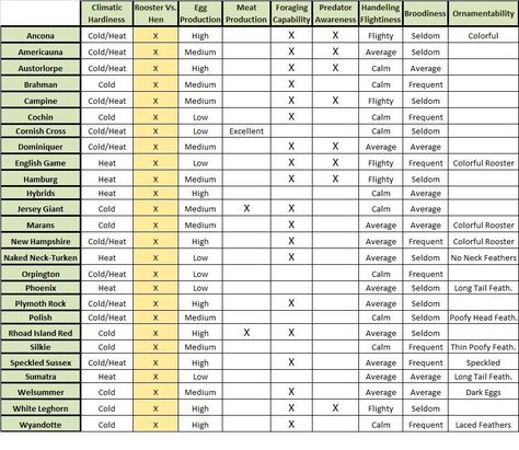 Pickin' the Right Frickin' Chicken: Guide to Picking Backyard Chicken Breeds | BackYard Chickens Egg Production Chart, Chicken Guide, Chicken Breeds Chart, Chicken Composting, Chicken Accessories, Chicken Tractors, Chicken Nesting Boxes, Fancy Chickens, Raising Goats