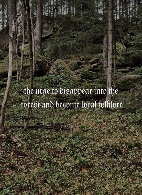 Spiritual Rewilding Goblincore Aesthetic, Into The Forest, Friday Humor, Art Memes, Literally Me, The Forest, Happy Places, Mother Nature, Words Quotes